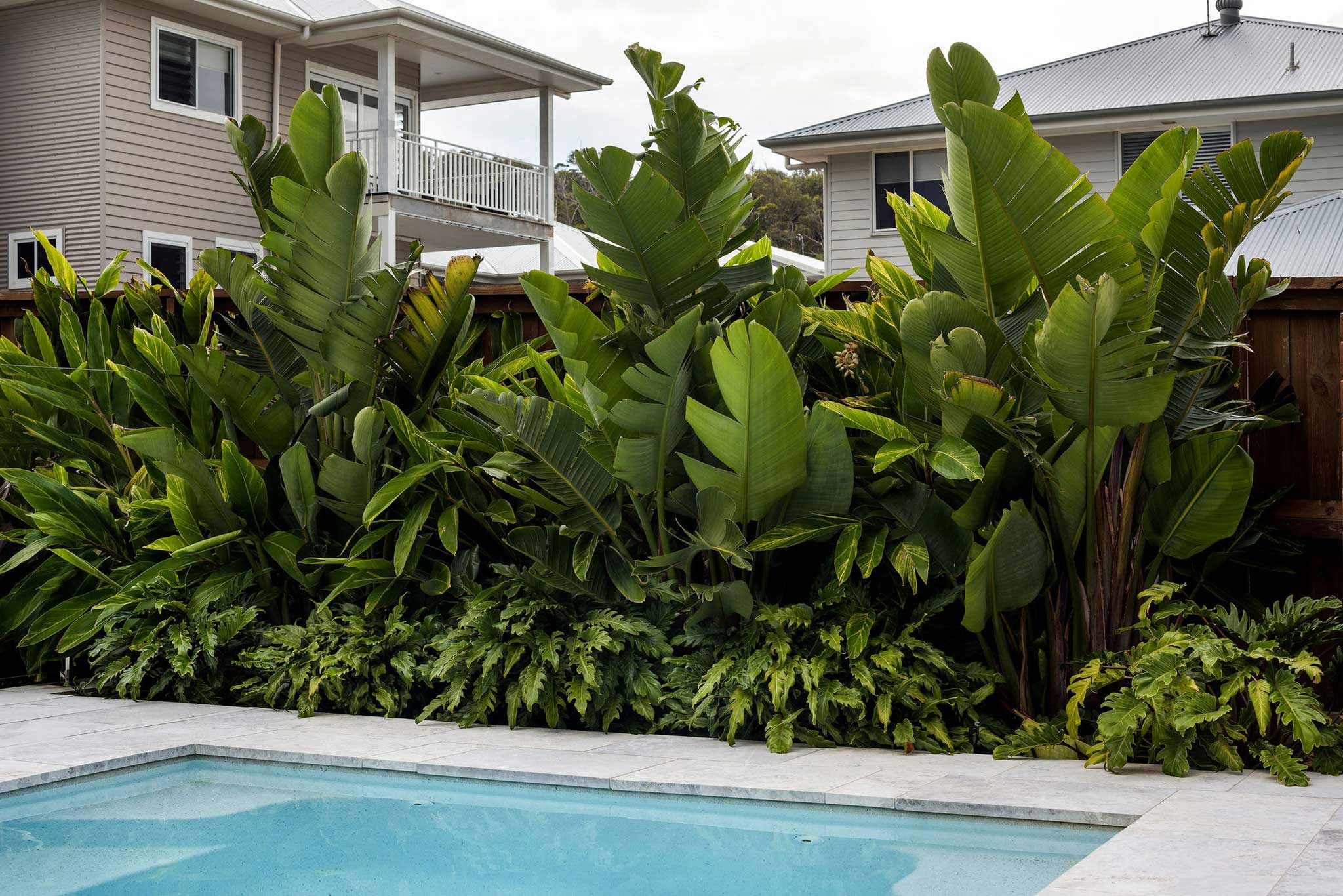 Landscape Design Construction Central Coast - Striking Oasis - Backyard pool and tropical plants