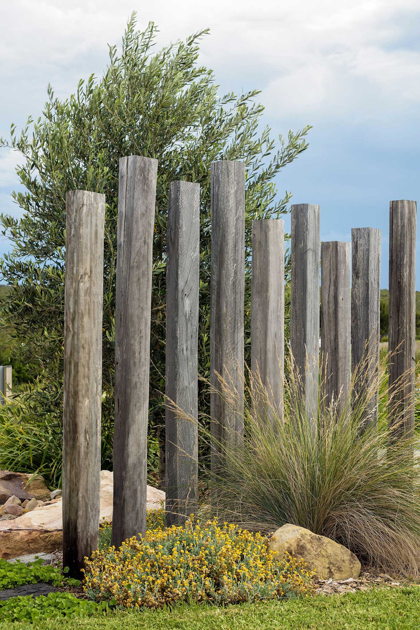 Vertical timber batten fence with sandstone feature boulders and coastal Mediterranean planting