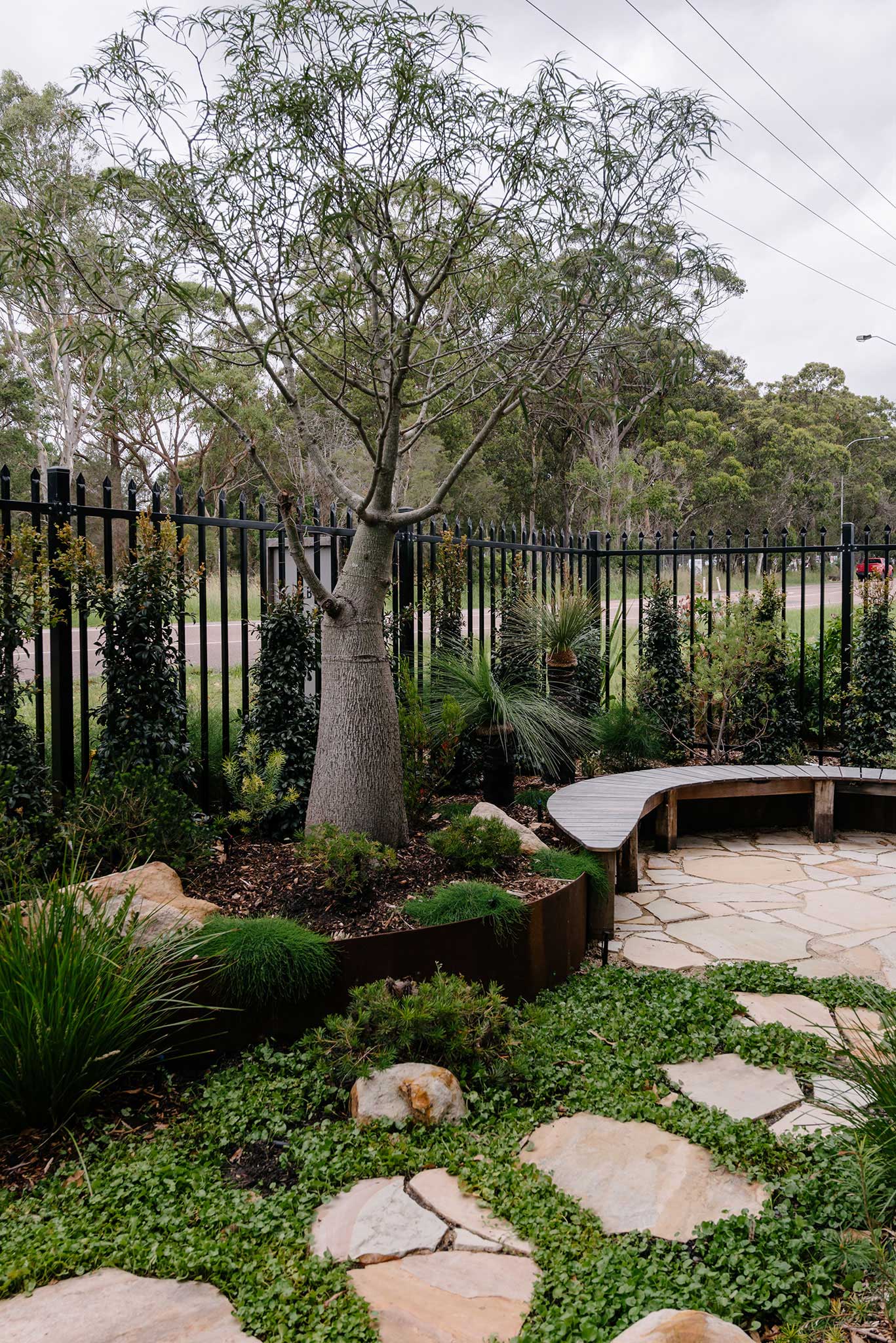 MBS native courtyard landscape design showing bottletree, corten-edged garden beds and entertaining area