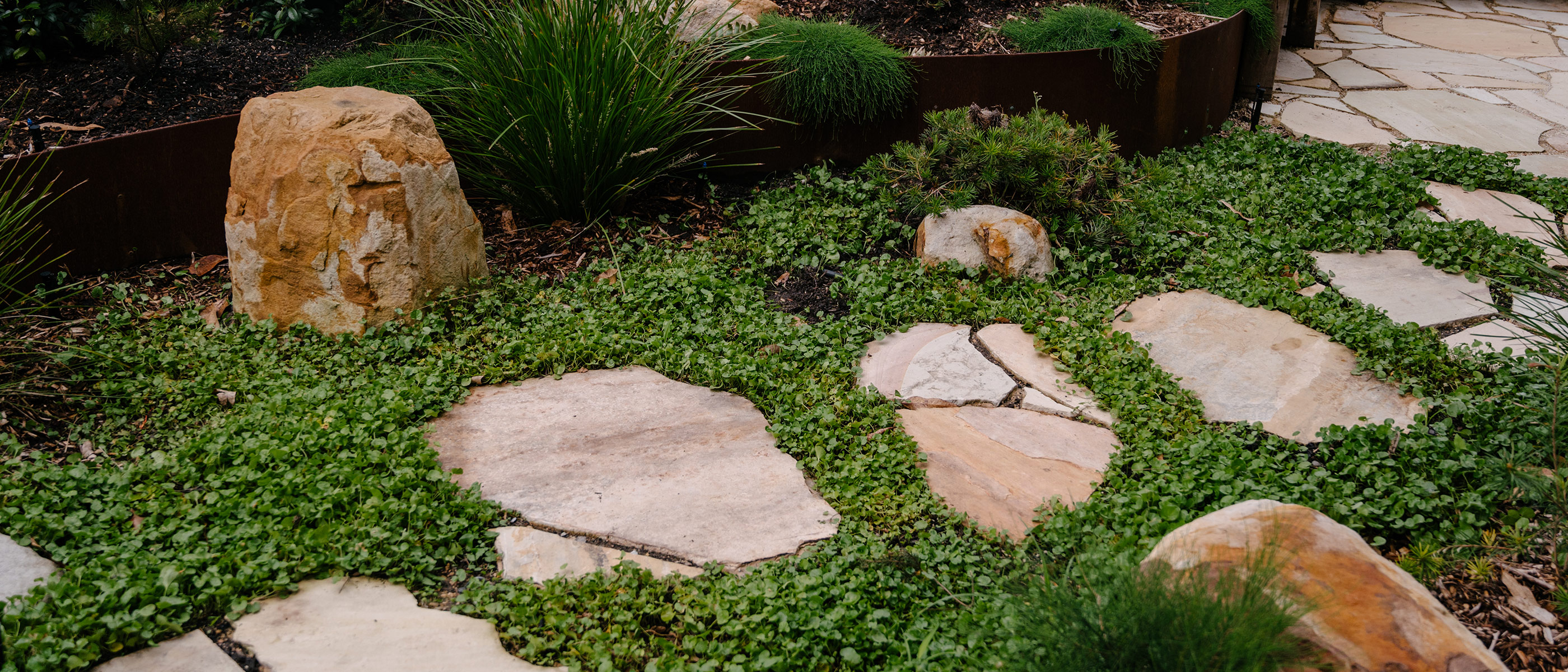 Meandering sandstone crazy pave stepper path through garden bed of dichondra and feature boulders