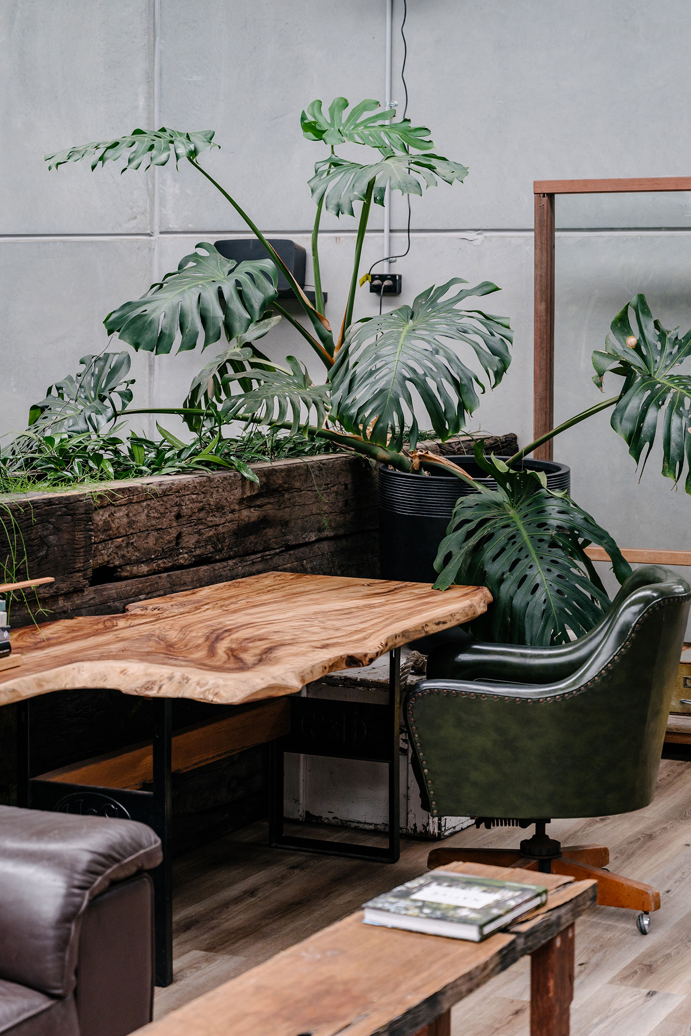 Office styling featuring a monstera, custom timber desk and vintage green leather office chair