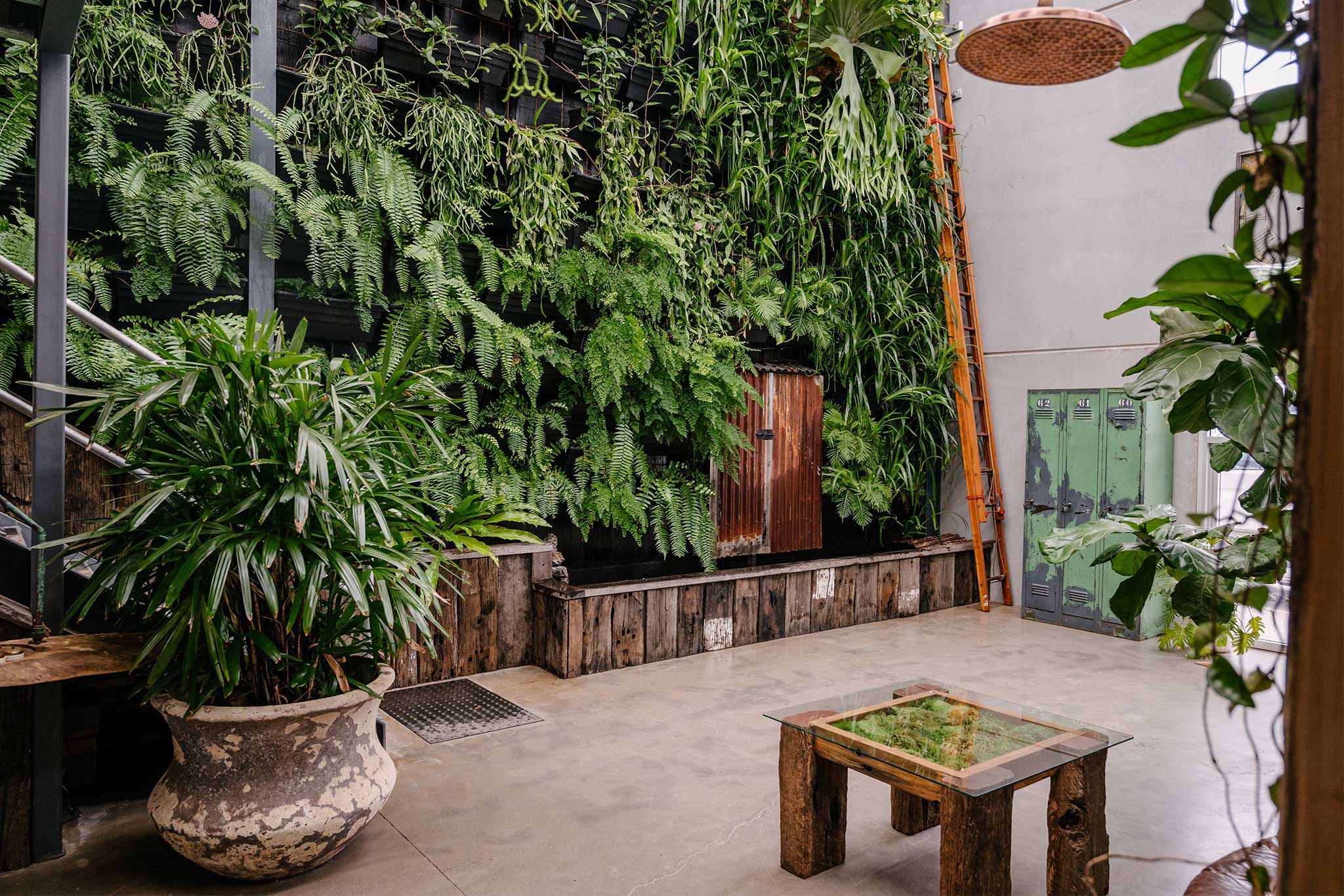 Plant Wall Commercial Interior Fitout Central Coast - Project "MBS Green Giant" - plant wall with moss art coffee table and custom outdoor shower in foreground