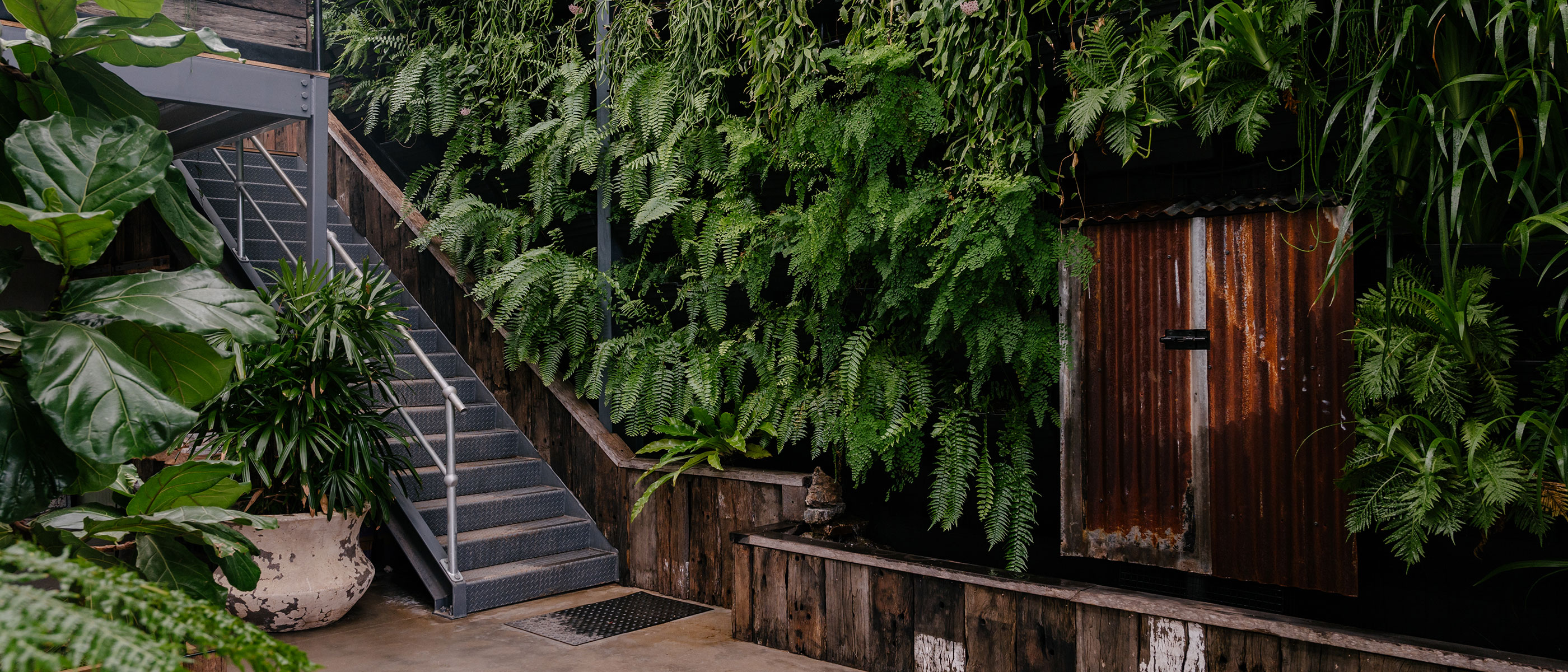 Vertical garden with steps leading to mezzanine floor and rustic recycled corrugated iron cabinet cover