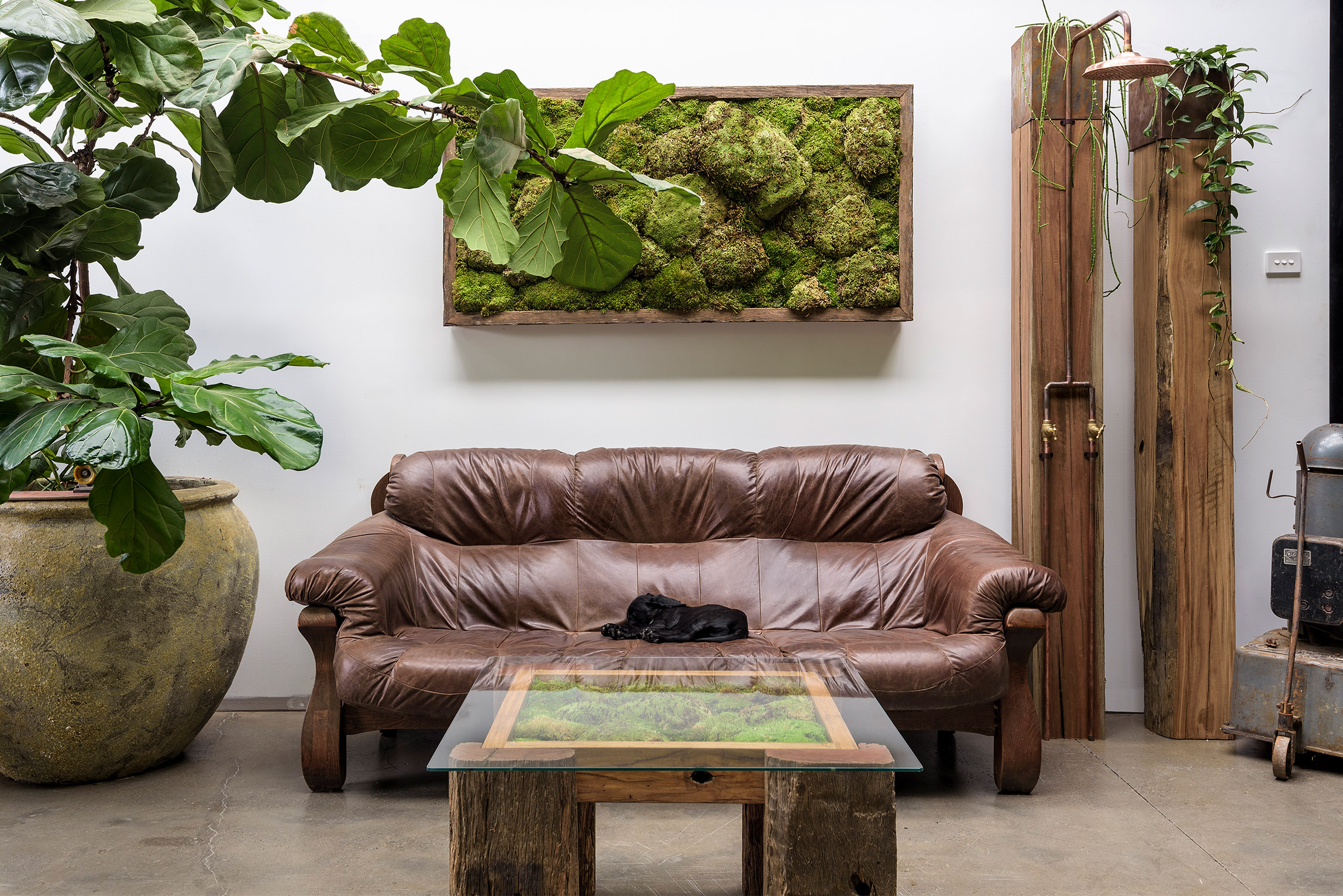 Preserved moss wall art in frame and moss coffee table in lounge setting