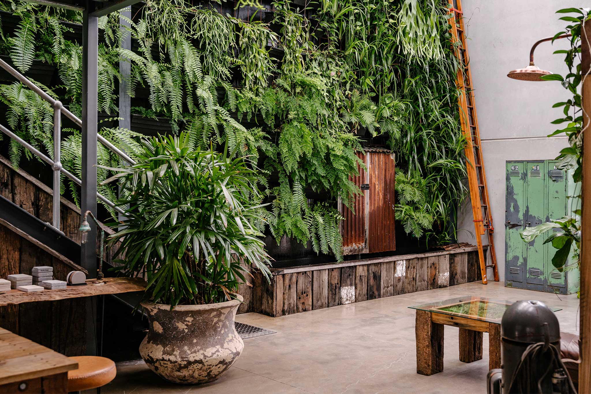 Commercial Interior Fitout Central Coast - Project "MBS Warehouse Jungle" - plant wall with moss art coffee table and custom outdoor shower in foreground